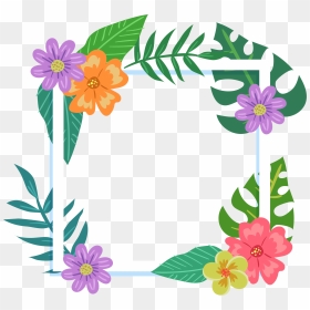 Flower Picture Frame Tropics Film Frame - Free Floral Frame Clipart, HD Png Download - colorful flowers png