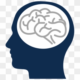 Brain Injury Awareness - Transparent Head Brain Clipart, HD Png Download - injury png