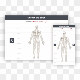 Man, HD Png Download - muscle arms png