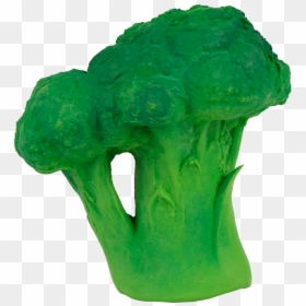 Oli And Carol Brokyl, HD Png Download - brocoli png