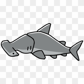 Cute Hammerhead Shark Png - Clip Art, Transparent Png - hammerhead shark png