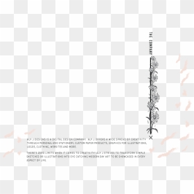 Company - Paper, HD Png Download - simple scroll designs png