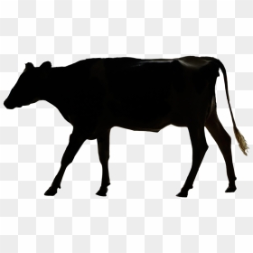 Dairy Cow, HD Png Download - farm animals png
