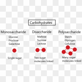 Biological Molecules Of Monosaccharide, HD Png Download - molecules png
