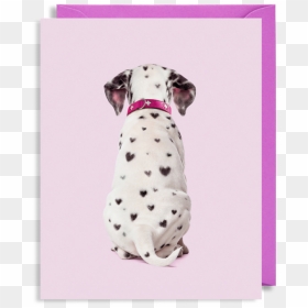 Dalmatian, HD Png Download - dalmatian png