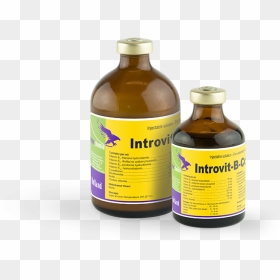 Introvit B Complex - B Complex Injection For Horse, HD Png Download - prescription bottle png