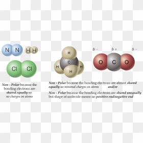 Chemistry Picture - Circle, HD Png Download - molecules png