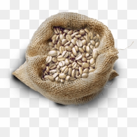 Between The Time That The Green Beans Are Delivered - Bag Coffee Green Png, Transparent Png - green bean png