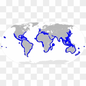 Distribution Of Goblin Shark, HD Png Download - hammerhead shark png