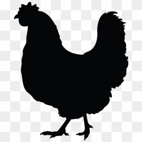 Silkie Rooster Silhouette - Simple Chicken Silhouette, HD Png Download - rooster silhouette png