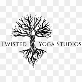 Twisted Tree Logo, HD Png Download - aerial tree png