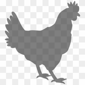 Silhouette Chicken Outline, HD Png Download - rooster silhouette png