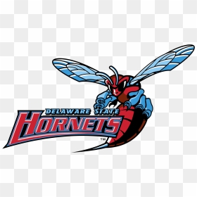 Delaware State Hornets Logo Png Transparent Clipart - Delaware State University Logo Png, Png Download - hornets logo png