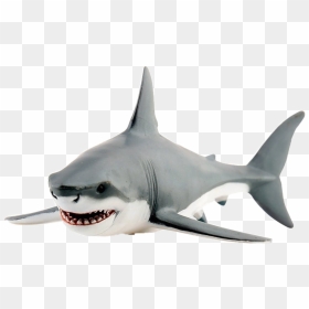 #shark #gray #sea #fish #animal #nature #fierce #teeth - Requin Blanc Pate A Modeler, HD Png Download - hammerhead shark png