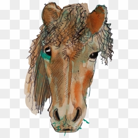 Horseface , Png Download - Sorrel, Transparent Png - horse face png
