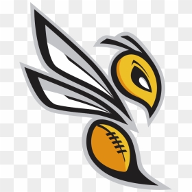 Hornet Logo Png, Transparent Png - hornets logo png