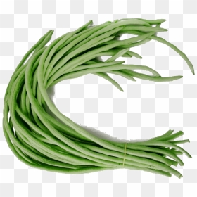 Transparent String Beans Png, Png Download - green bean png