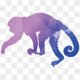 Outline A Capuchin Monkey , Png Download - Capuchin Monkey Silhouette, Transparent Png - funny monkey png
