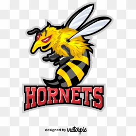 Hornet Logo Vector, HD Png Download - hornets logo png