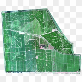 Lemon Trees Rgb Image - Drones In Agriculture Map, HD Png Download - aerial tree png