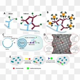 Graphic Design, HD Png Download - molecules png