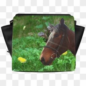 Beautiful Horse Face, Green Grass And Yellow Dandelions - Horse, HD Png Download - horse face png