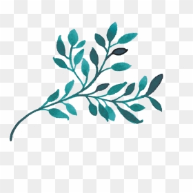 Gambel Oak, HD Png Download - acuarela png