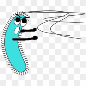 Bacteria Png, Transparent Png - germs png