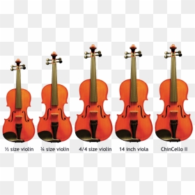 Kiesewetter Stradivarius, HD Png Download - violin bow png