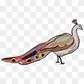 Peafowl, HD Png Download - peacock tail png