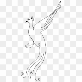 Art,body Jewelry,artwork - Outline Of Peacock, HD Png Download - peacock tail png
