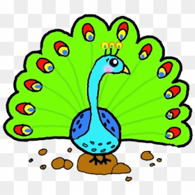 Easy Peacock Drawing, HD Png Download - peacock tail png