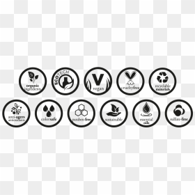 Layer - Transparent Paraben Free Logo, HD Png Download - vision icon png