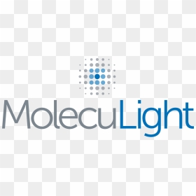 Sdvosb Maness Veteran Medical Partners With Moleculight - Restaurant Mooii, HD Png Download - sdvosb logo png