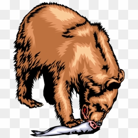 Vector Illustration Of Brown Bear Eating Its Catch - Predator And Their Prey List, HD Png Download - bear vector png