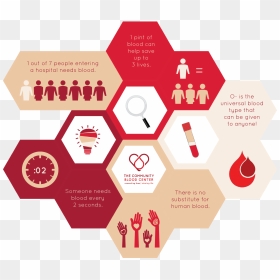 Donating Blood Is A Rewarding Way To Help Others - Blood Donation Facts 2019, HD Png Download - donate blood png