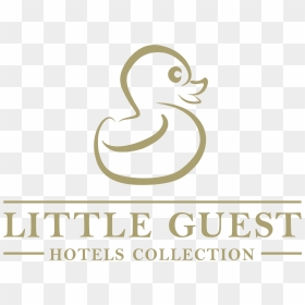 Duck, HD Png Download - guest png