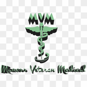 Maness Veteran Medical - Graphic Design, HD Png Download - sdvosb logo png