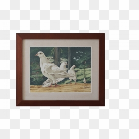 Chicken, HD Png Download - acuarela png