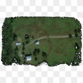 Aerial View Of Canecreek Studio - Tree, HD Png Download - aerial tree png