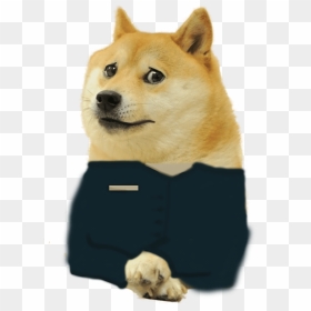 Doge Meme Transparent Background, HD Png Download - mlg doge png