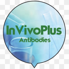 Bio X Cell Most Popular Antibodies Are Also Available - Circle, HD Png Download - most popular png
