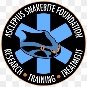 Doctor Snake Logo Png , Png Download - Plaza Research, Transparent Png - doctor snake logo png