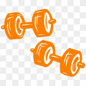 Vector Illustration Of Weightlifting Weight Training, - Dumbbell Vector Image Png, Transparent Png - bodybuilding vector png