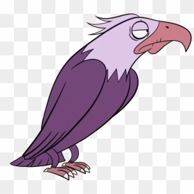 Bald Eagle Star Butterfly, Star Vs The Forces Of Evil, - Star Butterfly Eagle, HD Png Download - star vs the forces of evil png