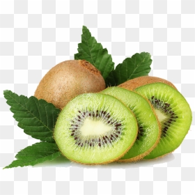 Kiwi Png, Transparent Png - kiwi fruit png