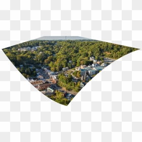 Aerial Tree Png, Transparent Png - aerial tree png
