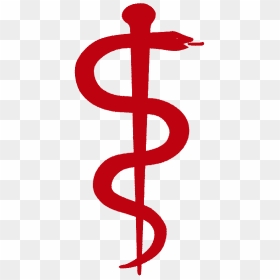 Doctor Snake Logo - Nursing Rod Of Asclepius, HD Png Download - doctor snake logo png