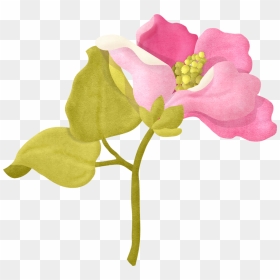 Bougainvillea Drawing Flower Transparent Png Clipart - Album From Laughter To Memories, Png Download - jasmine flower images png