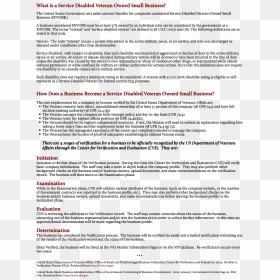 What Is A Service Disabled Veteran Owned Small Business - Combination Drug, HD Png Download - sdvosb logo png